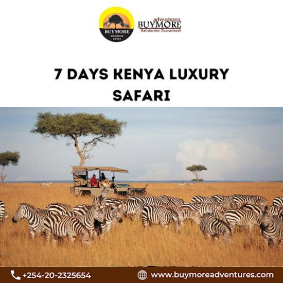Luxury Safaris Kenya