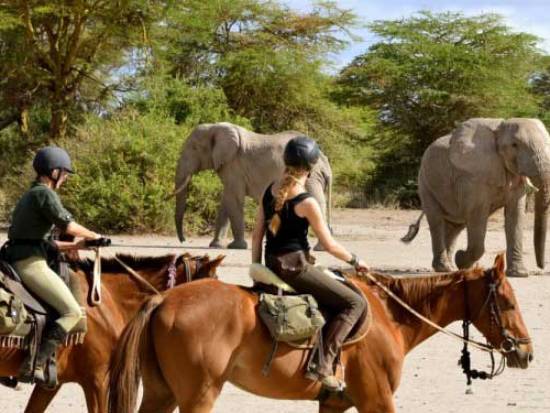 luxury safaris Kenya